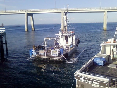 Boat4.jpg