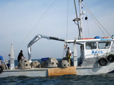 PortPhillipBayReefBa1.jpg