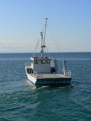 pic18.jpg