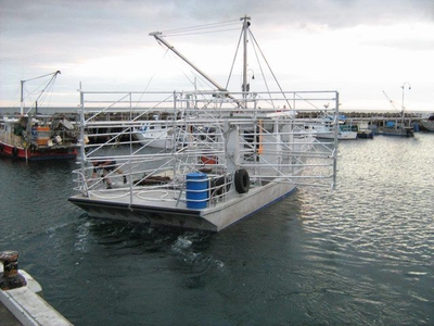 pic25.jpg